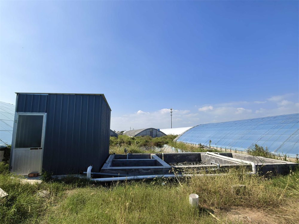 海清海水养殖尾水土地处理站