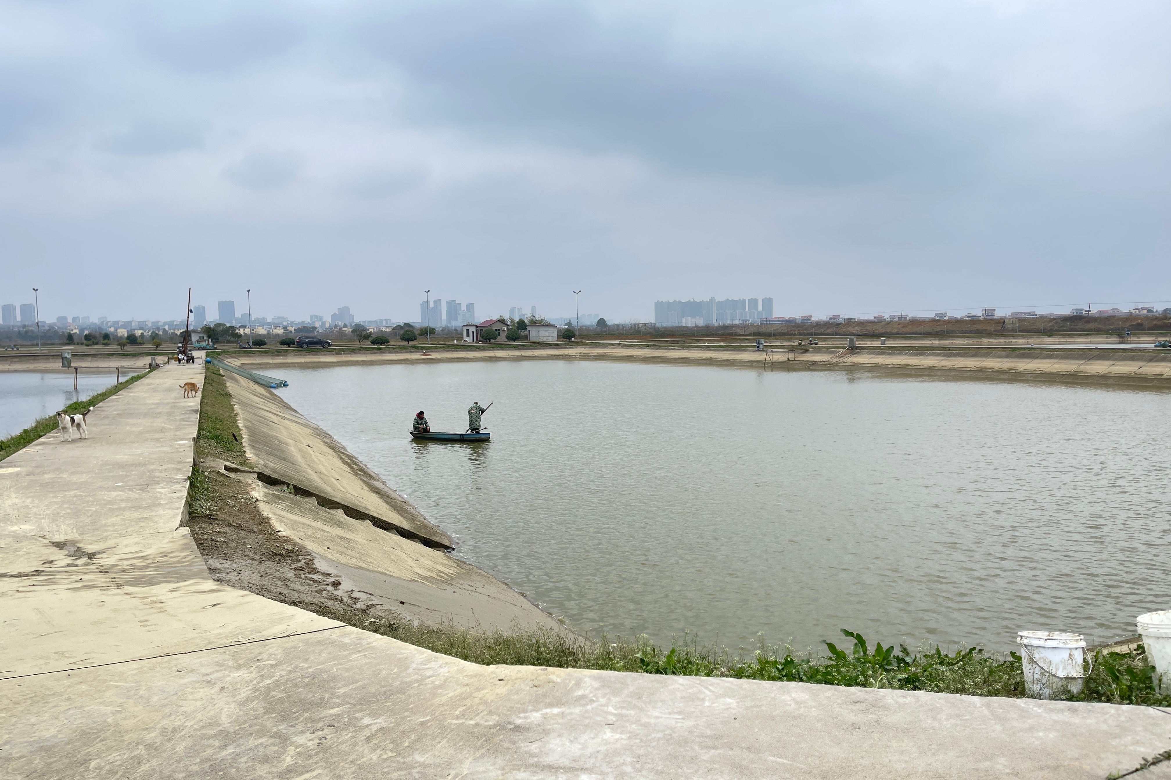 海水养殖三池两坝解决方案