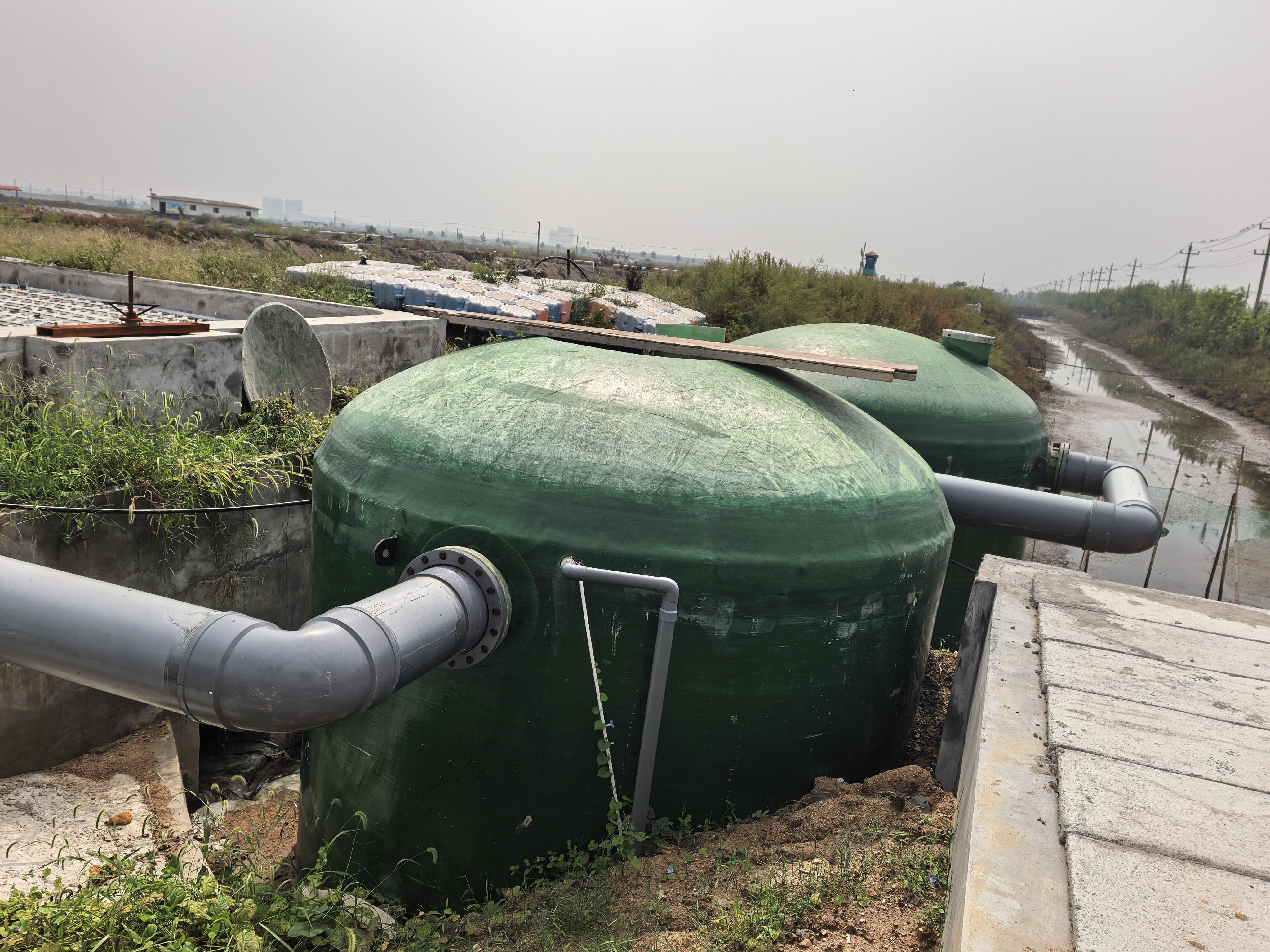 日照财金海水环境与山东大学海洋学院达成战略合作，共同推动小棚虾养殖技术创新